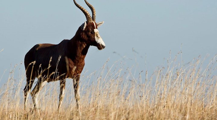 2 Nights in the Karoo National Park SANParks