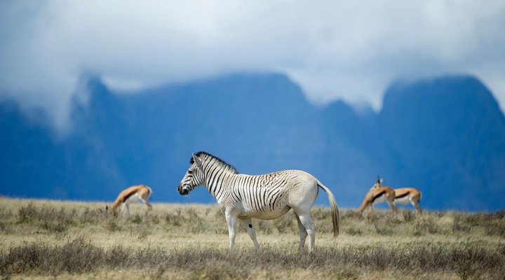 2 Nights in the Karoo National Park SANParks