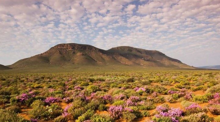 2 Nights in the Karoo National Park SANParks
