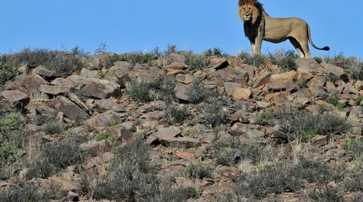 2 Nights in the Karoo National Park SANParks