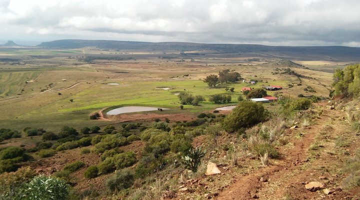 Twin Oaks Guest Farm
