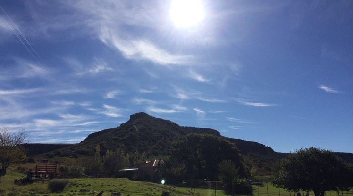 Twin Oaks Guest Farm