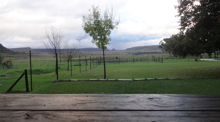 Twin Oaks Guest Farm