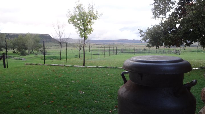 Twin Oaks Guest Farm