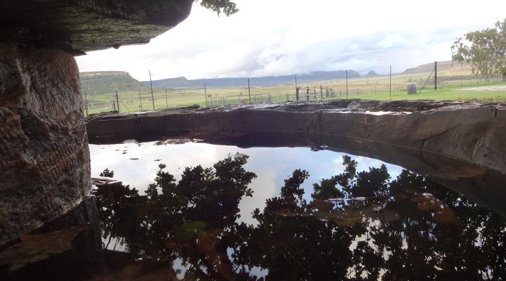 Twin Oaks Guest Farm