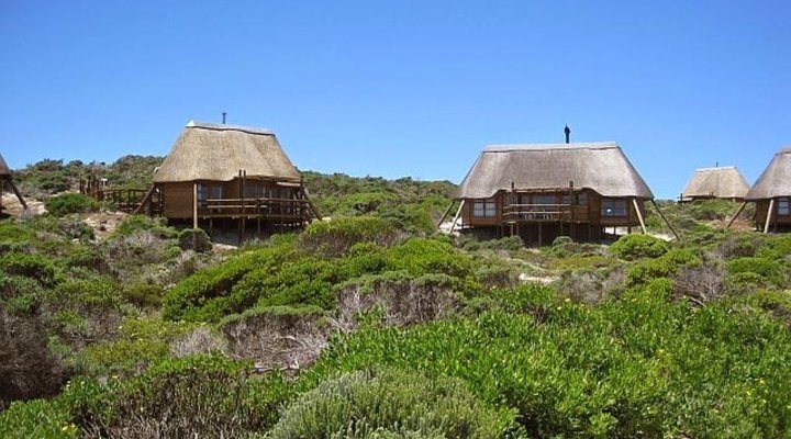 2 Nights at Agulhas Rest Camp Agulhas National Park SANParks