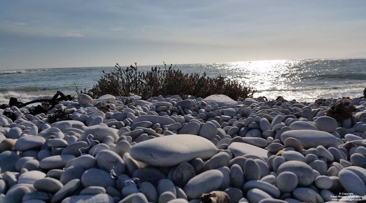 2 Nights at Agulhas Rest Camp Agulhas National Park SANParks