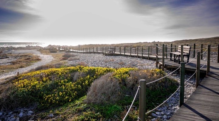 2 Nights at Agulhas Rest Camp Agulhas National Park SANParks