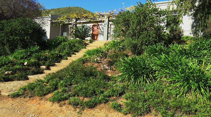 Oudemuragie Guest Farm