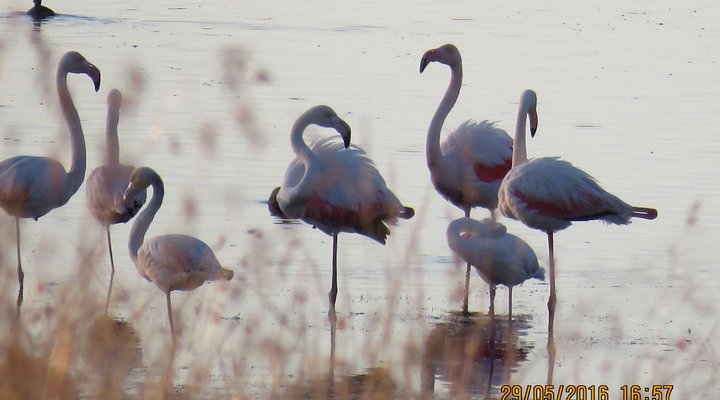 Lourenza Wildlife Reserve