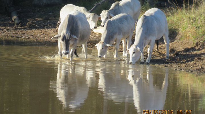 Lourenza Wildlife Reserve