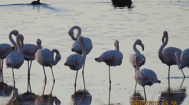 Lourenza Wildlife Reserve