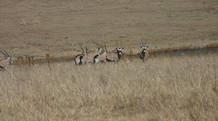 Lourenza Wildlife Reserve
