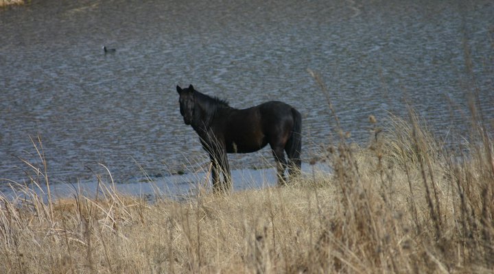 Lourenza Wildlife Reserve