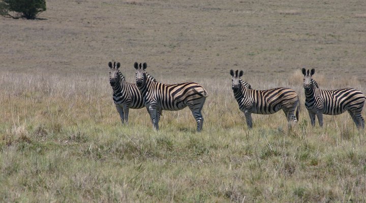 Lourenza Wildlife Reserve