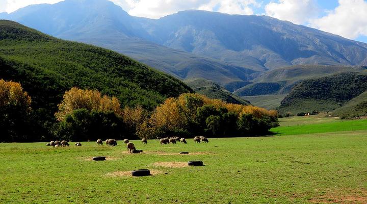 Oudemuragie Guest Farm