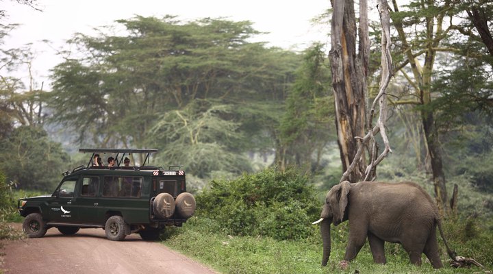 &Beyond Ngorongoro Crater Lodge