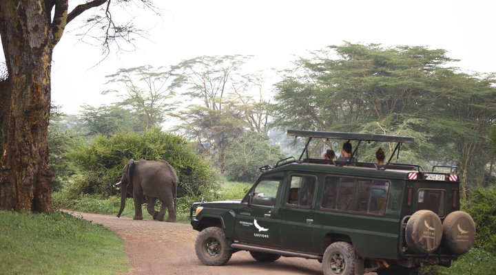 &Beyond Ngorongoro Crater Lodge