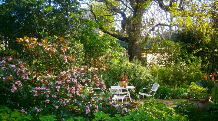 House at Pooh Corner