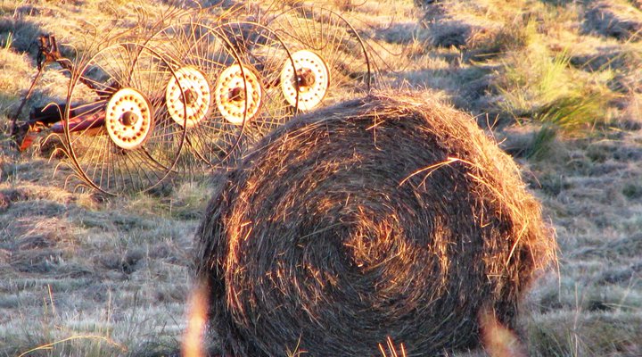 Wellstead House Gratitude Farm