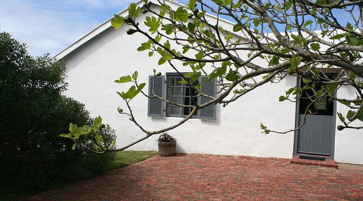 Kleinbergskloof Olive Estate