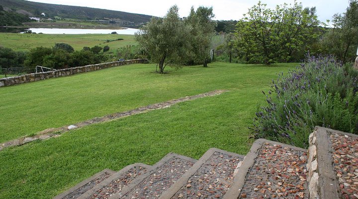 Kleinbergskloof Olive Estate