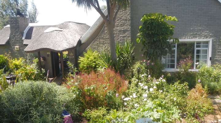 Camu-Camu Bed and Breakfast