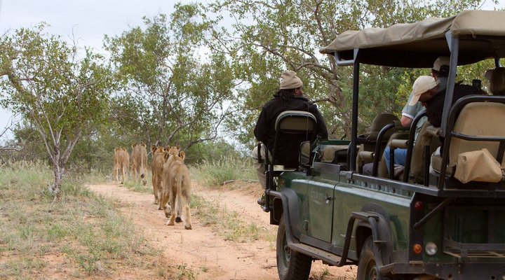 4 Nights, 2 Luxury Lodges in Balule Nature Reserve