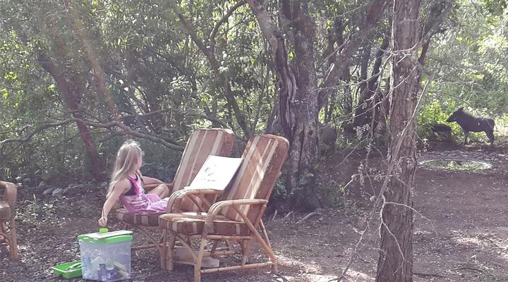 Marlothii Safari House