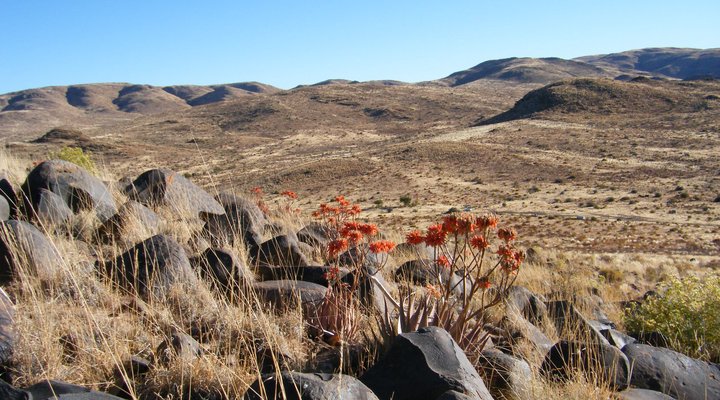Lovedale Farm Holidays