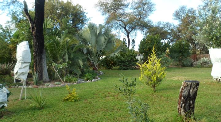 Pierre-Yves Cottages