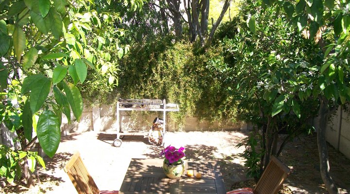Citrus Self-Catering Flat
