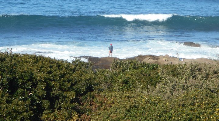 Kaysers Beach House