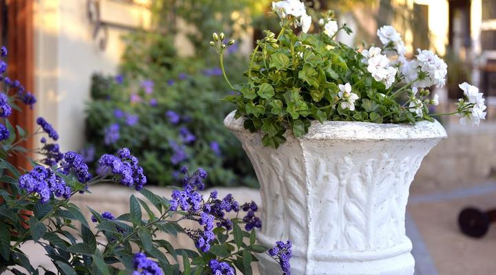 Grande Plaisir Villa