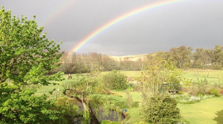 Sleeping Beauty Guest House