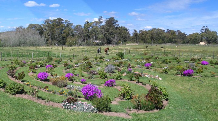 Sleeping Beauty Guest House