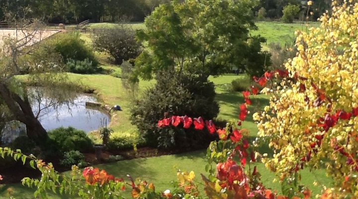 Sleeping Beauty Guest House