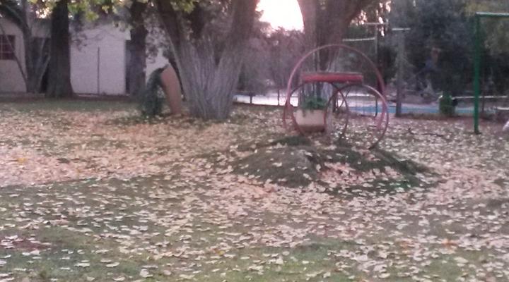 Middelpos Guest Farm