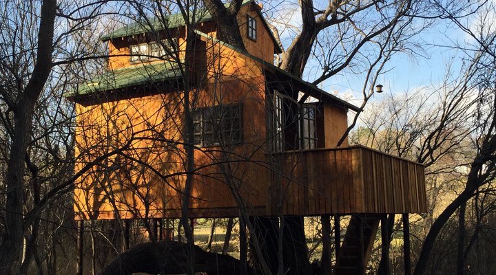 Willow Nest Treehouse Riversands