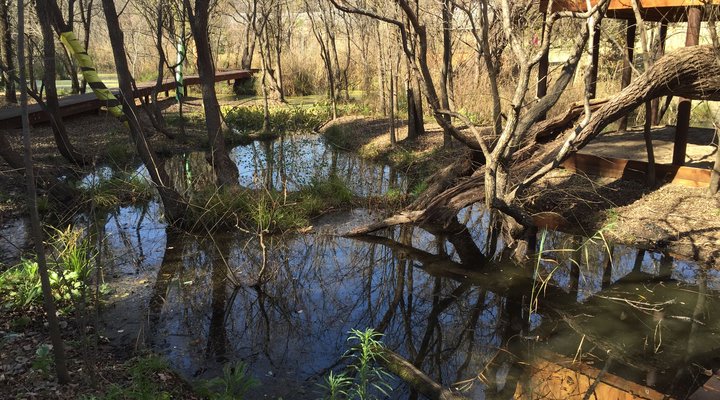 Willow Nest Treehouse Riversands