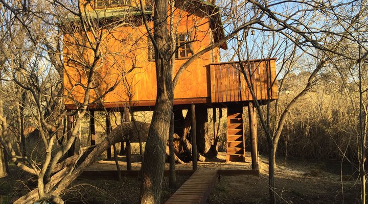 Willow Nest Treehouse Riversands