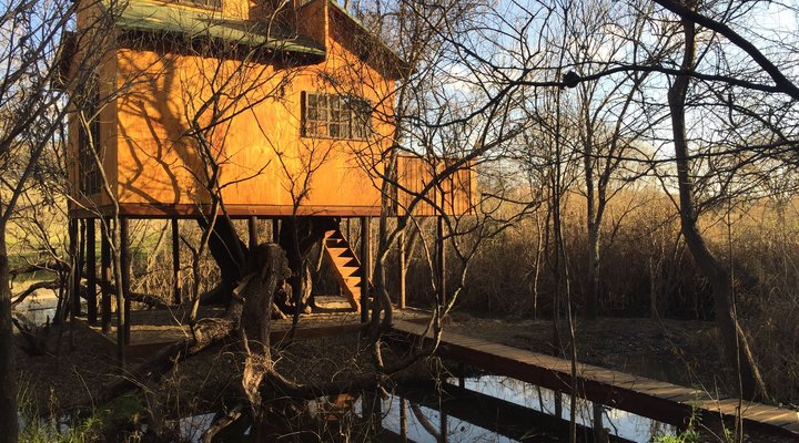 Willow Nest Treehouse Riversands