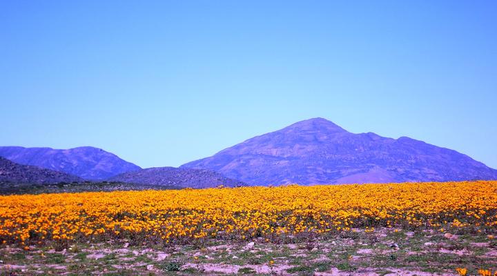 Verbe Farm Accommodation