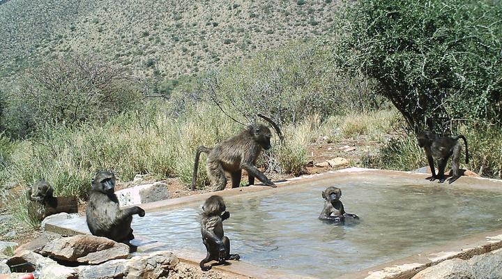 27 Degrees South Safaris