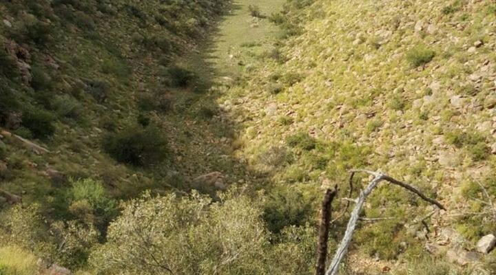 27 Degrees South Safaris