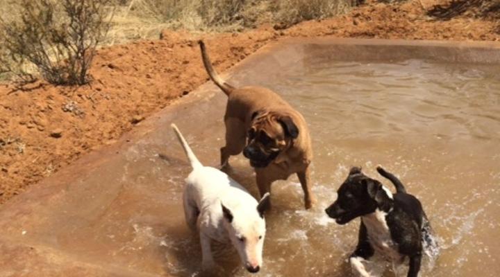 27 Degrees South Safaris