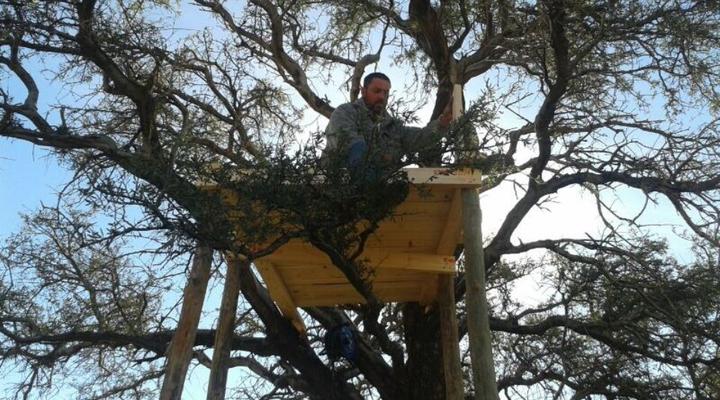 27 Degrees South Safaris