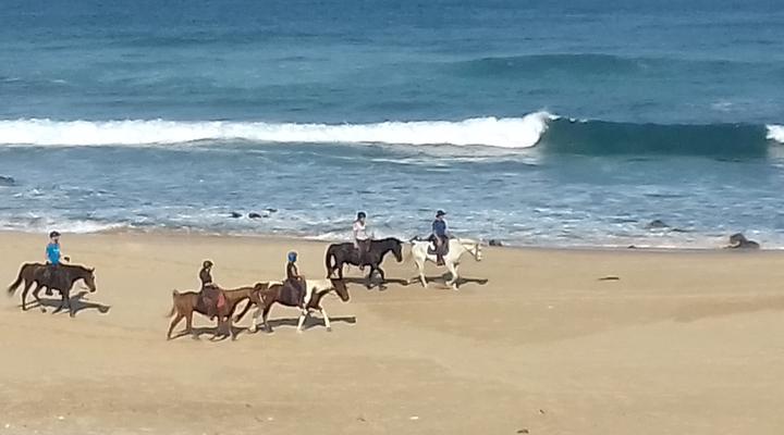 Bay View - Self Catering