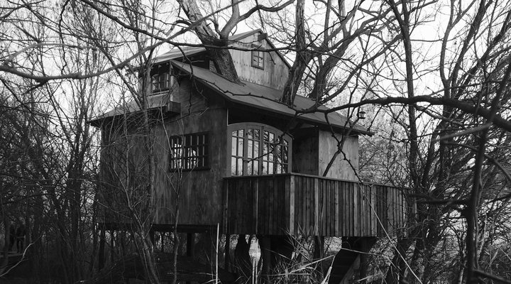 Willow Nest Treehouse Riversands