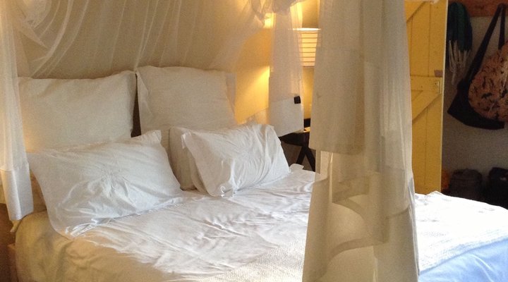 Stanford Holiday House